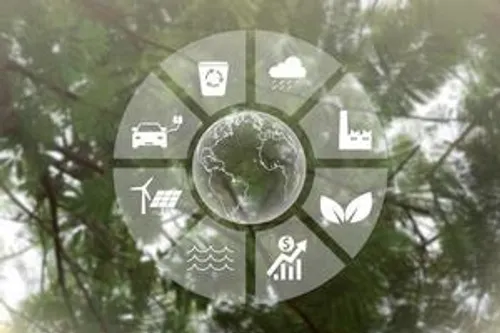 Environmental Management